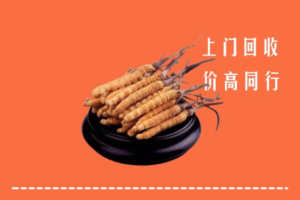 哈尔滨市回收冬虫夏草