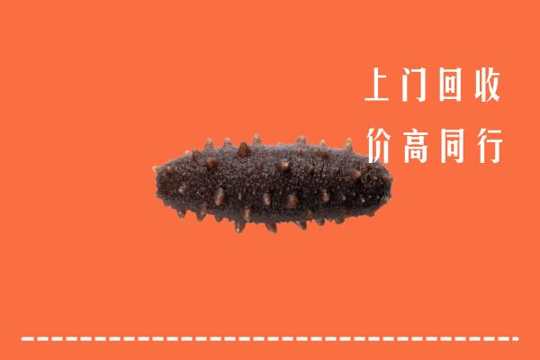 哈尔滨市回收海参