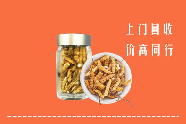 哈尔滨市回收冬虫夏草